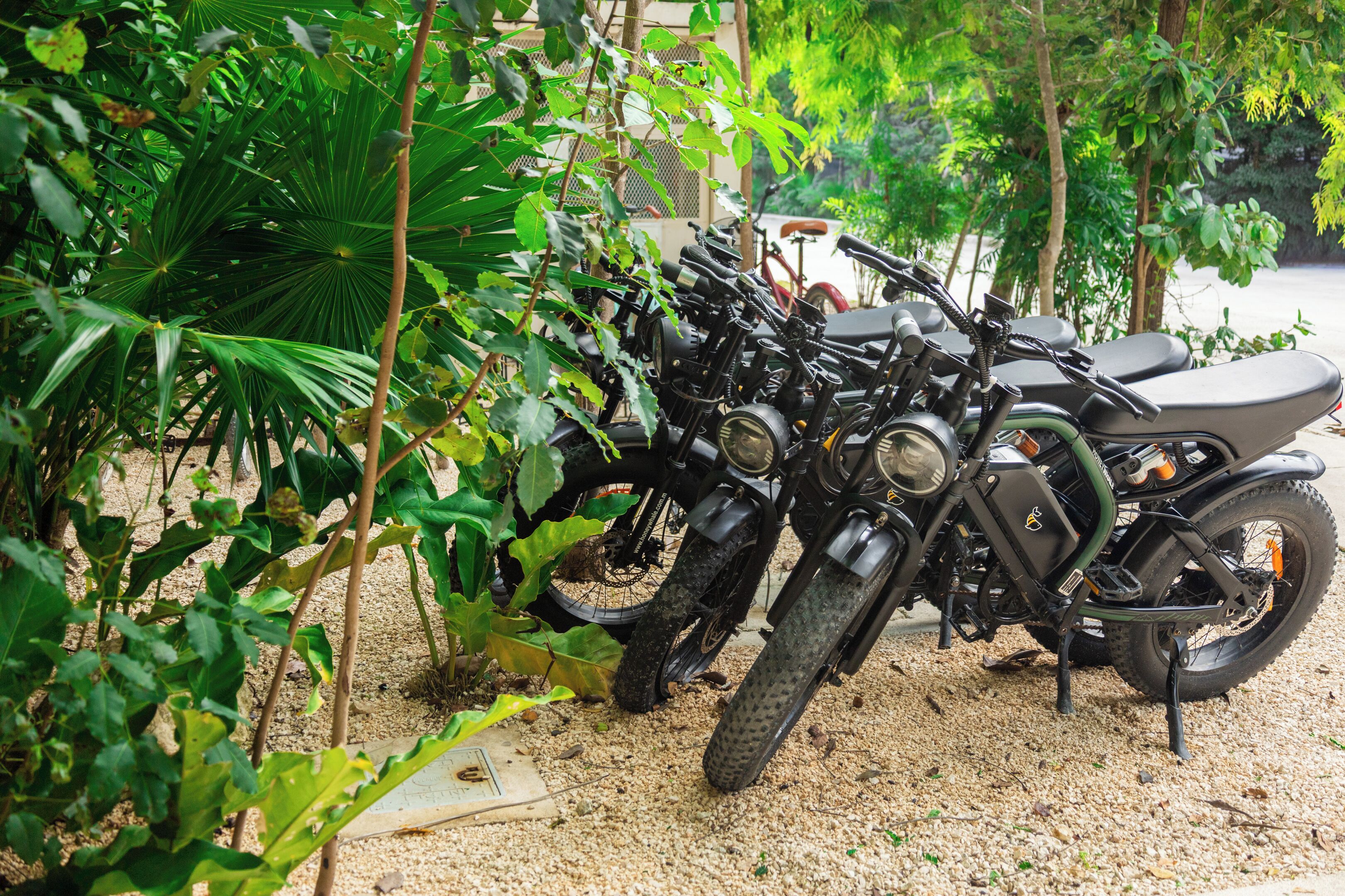 A row of motorcycles parked in a gravel area surrounded by dense foliage.