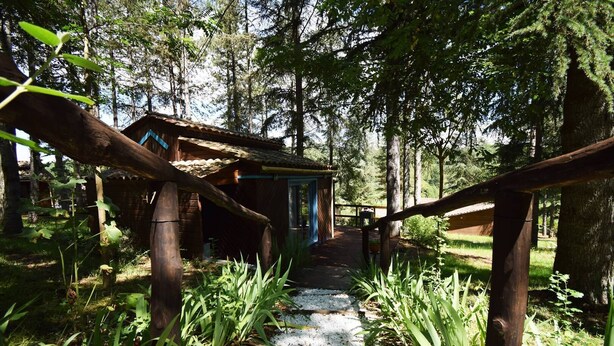 A rustic wooden cabin with a thatched roof, surrounded by dense forest. A gravel path leads to the cabin, and a wooden fence is visible in the foreground. - Chalet avec piscine au Domaine du Lac de Goulens (LAYRAC)