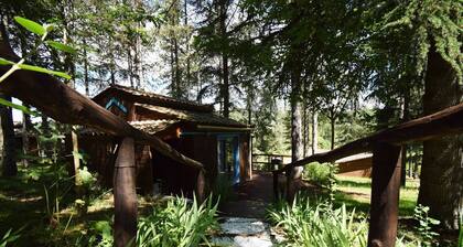 Chalet avec piscine au Domaine du Lac de Goulens