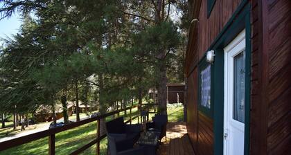 Petit chalet au Domaine du Lac de Goulens -piscine