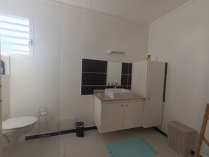 Dusche, Handtücher, Seife, Toilettenpapier