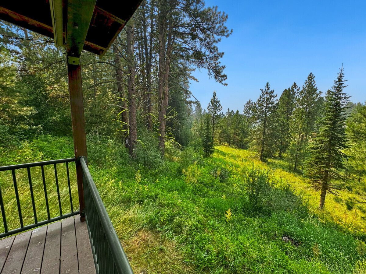 A wooden deck with a metal railing overlooking a forested area with tall trees and green underbrush.
