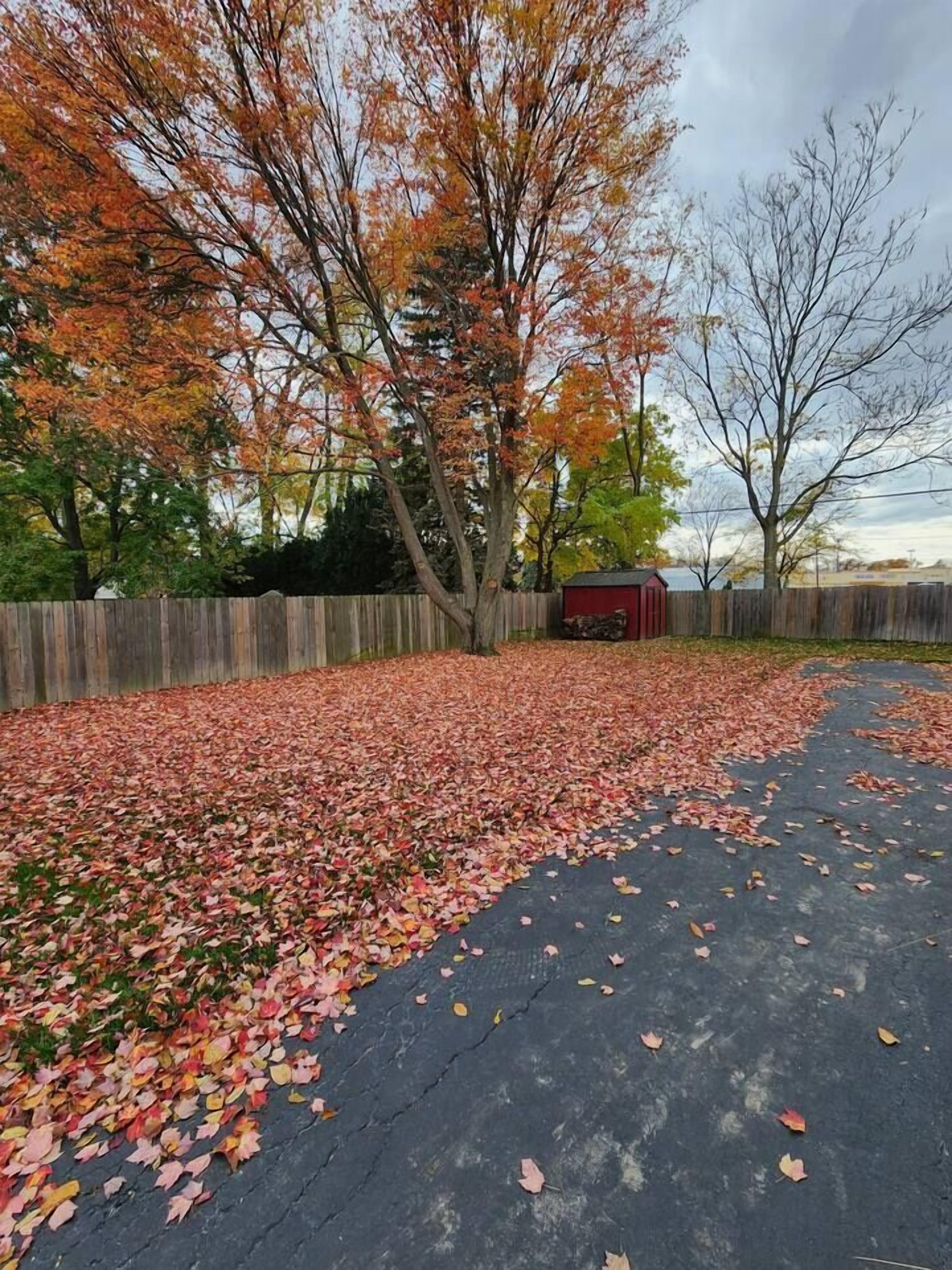 Un espace de stationnement où le sol est recouvert de feuilles mortes et où, en arrière-plan, on aperçoit des arbres aux couleurs automnales.