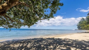 Ein Strand mit klarem Wasser, einem sandigen Ufer und einem Baum, der Schatten spendet.