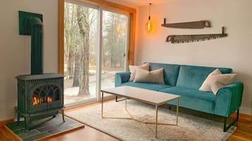 Smart TV, fireplace, books