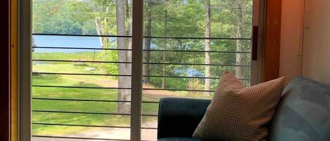 Smart TV, chimenea y libros