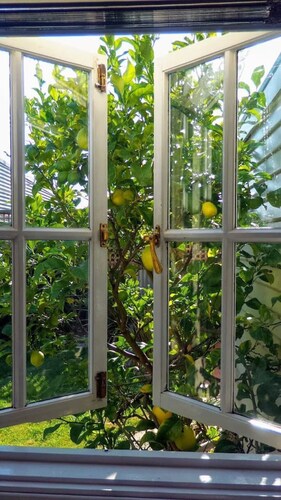 Badger’s Inlet Devonport