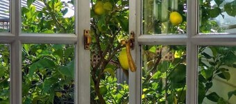 Badger’s Inlet Devonport