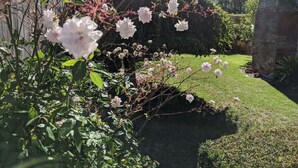 Un jardin agrémenté de fleurs blanches en pleine floraison et d’un mur de pierre.