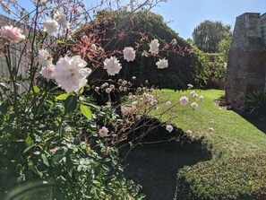 المنطقة المحيطة بالمنشأة