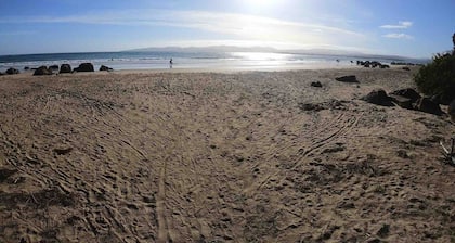 Devonport’s Relax @ Manning