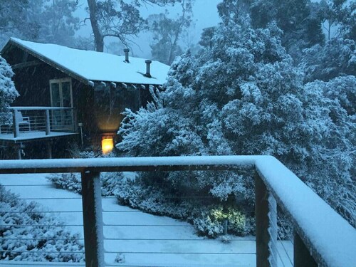 Devonport’s Relax @ Manning