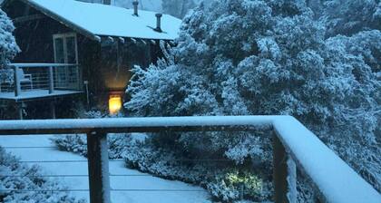 Devonport’s Relax @ Manning