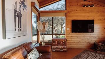 Smart TV, fireplace, books