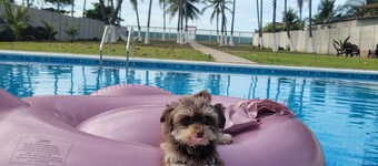 Spacious 5-bedroom house with capacity of 20+ people in Playa Metalio Sonsonate 