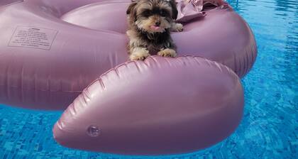 Spacious 5-bedroom house with capacity of 20+ people in Playa Metalio Sonsonate