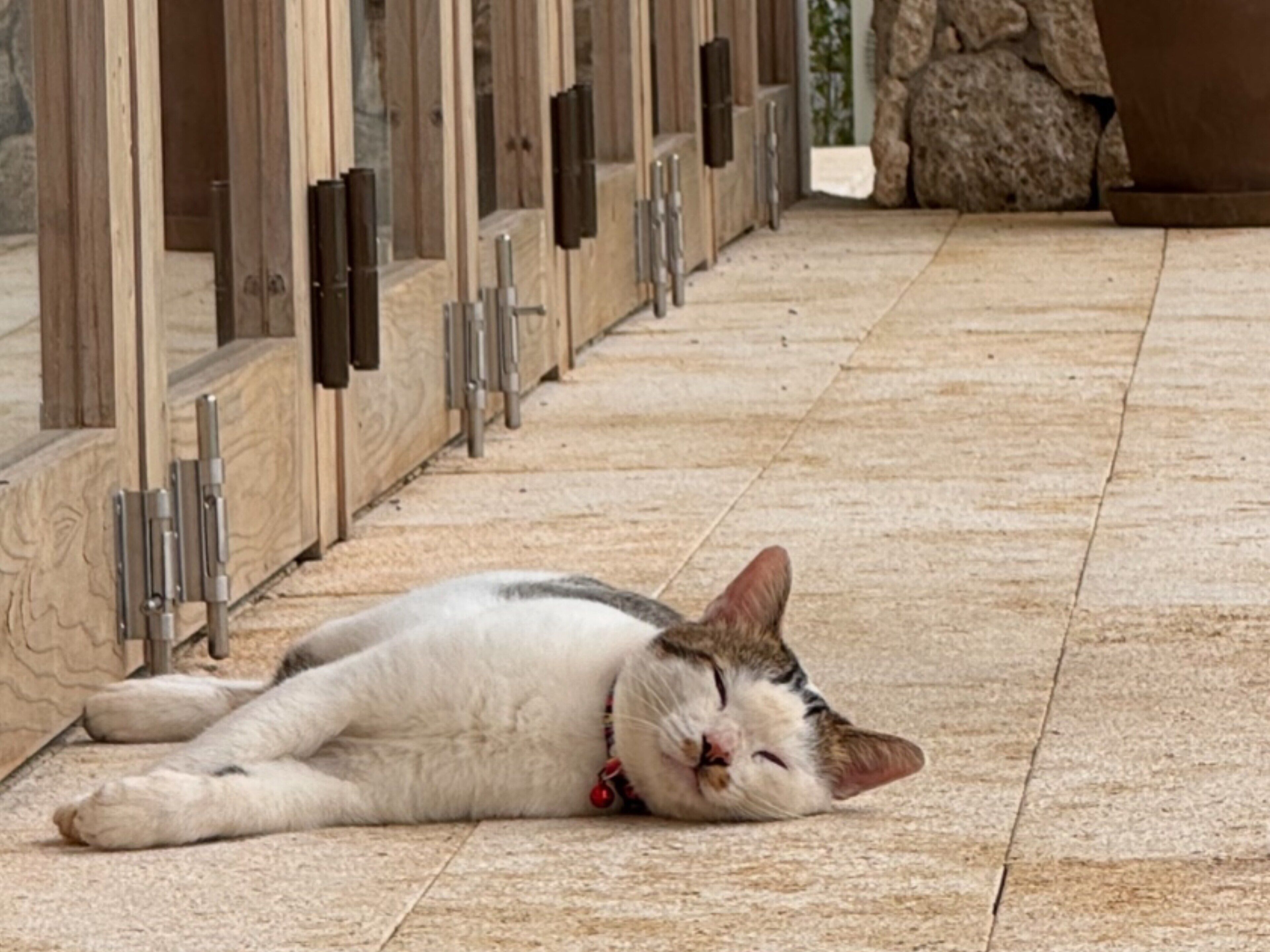 A cat lying on a tiled floor in a room with wooden cabinets and metal handles.