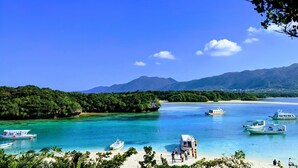 A coastal area with boats, a beach, and a forested hill. - Ishigaki hills (Ishigaki)
