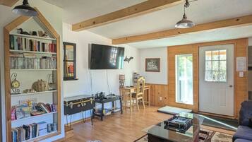 Älytelevisio, takka, DVD-soitin, kirjoja