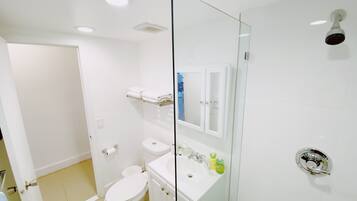 Shower, hair dryer, towels