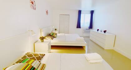 Comfy 1-Bedroom Apartment w/ parking - Coconut Grove
