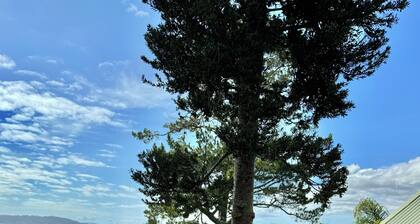 Waterfront loft with city view