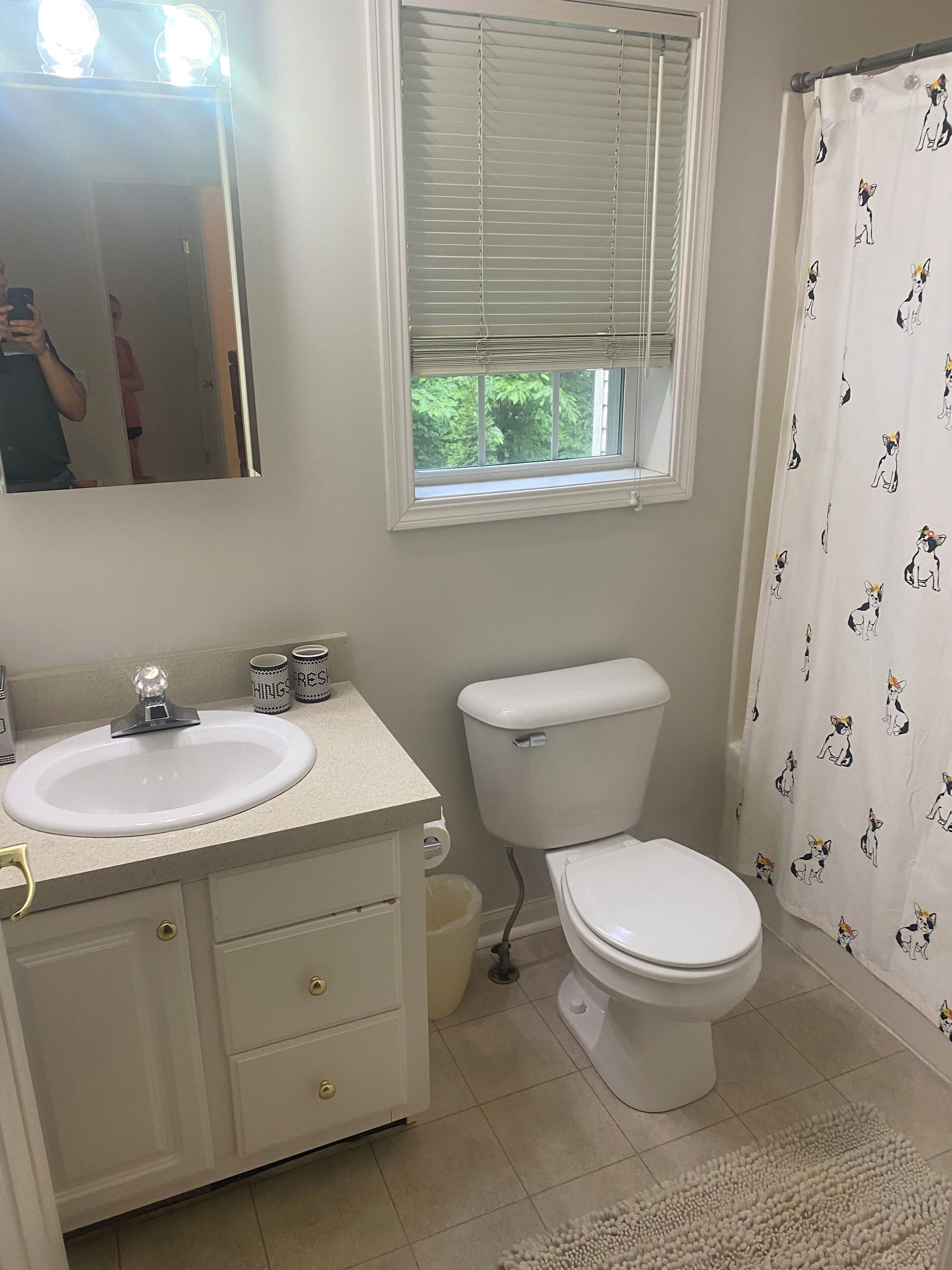 Une salle de bain avec un lavabo blanc, un meuble-lavabo, des toilettes et un rideau de douche orné de motifs de chiens.