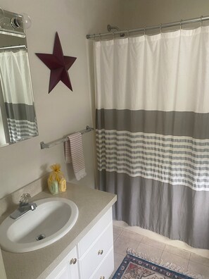 Towels, soap, shampoo, toilet paper - Cozy 2-bedroom condo in enchanting Petoskey with WiFi, AC. State Park, Bike Path (Petoskey)