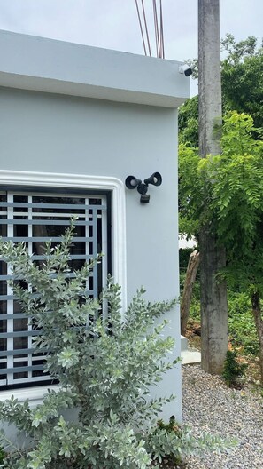 Exterior detail