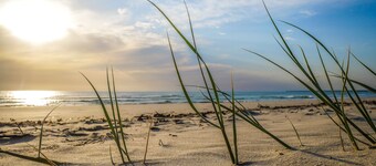 SALT @ Woodgate Beach