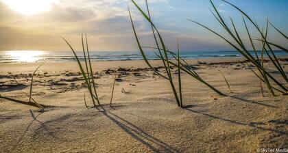 SALT @ Woodgate Beach