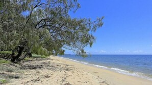 Beach - SALT @ Woodgate Beach (Woodgate)