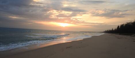 Playa