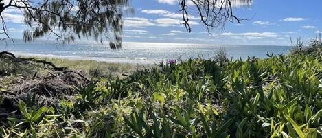 Playa en los alrededores