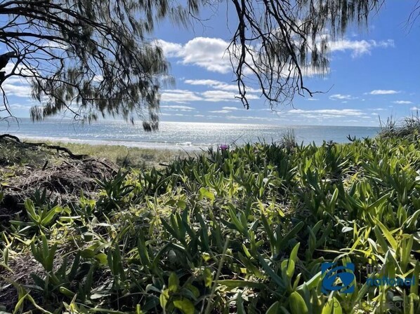 Guests can enjoy breathtaking ocean views from this serene coastal setting surrounded by lush vegetation.