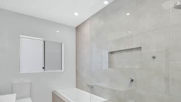 Shower, towels, toilet paper