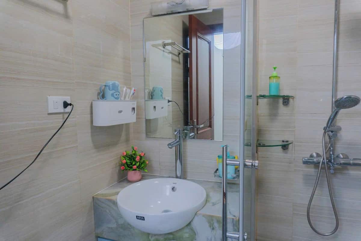 ฝักบัว, ฝักบัวนวดด้วยพลังน้ำ, ไดร์เป่าผม, โถสุขภัณฑ์แบบบิเดท์