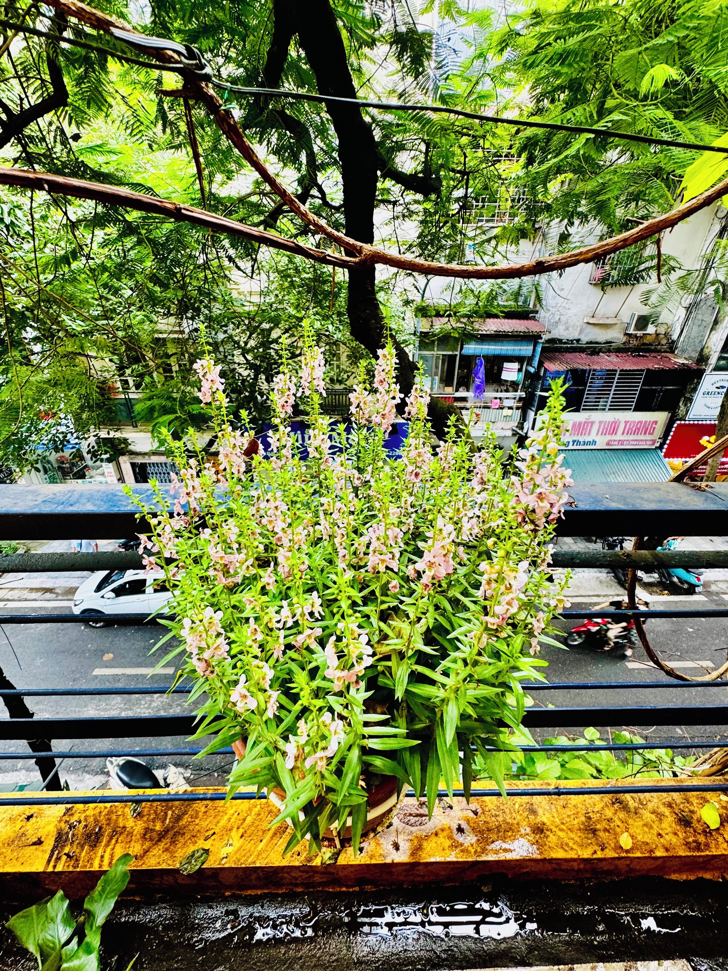 基础宿舍 | 羽绒被、泰普尔床垫、免费 WiFi、床单