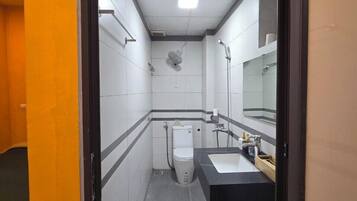 Ducha, cabezal de ducha con hidromasaje, secador de pelo, bidet