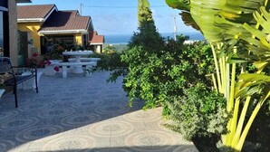 Een woongebied met een verhard terras, een huis met een pannendak en een grote bananenplant.