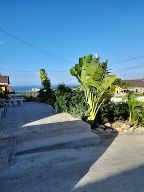 Property grounds - Serene 1-bedroom guest suite in Gated Stonebrook Manor community Trelawny (Falmouth)