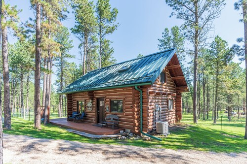 Log Cabin close to Custer