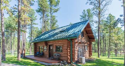 Log Cabin close to Custer