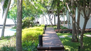 Un sendero bordeado de palmeras y follaje, que conduce a una zona de piscina.