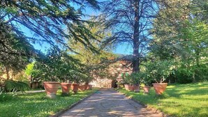 A stone pathway flanked by potted plants and trees, leading to a building entrance. - Villa Margaret: A splendid nineteenth-century three-story historical villa surrounded by the greenery, with Free WI-FI. (Pontremoli)