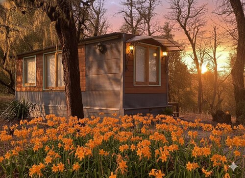 Tiny house in the forest