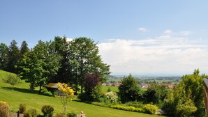 A lush green landscape with a large tree, a small building, and a view of a distant town.