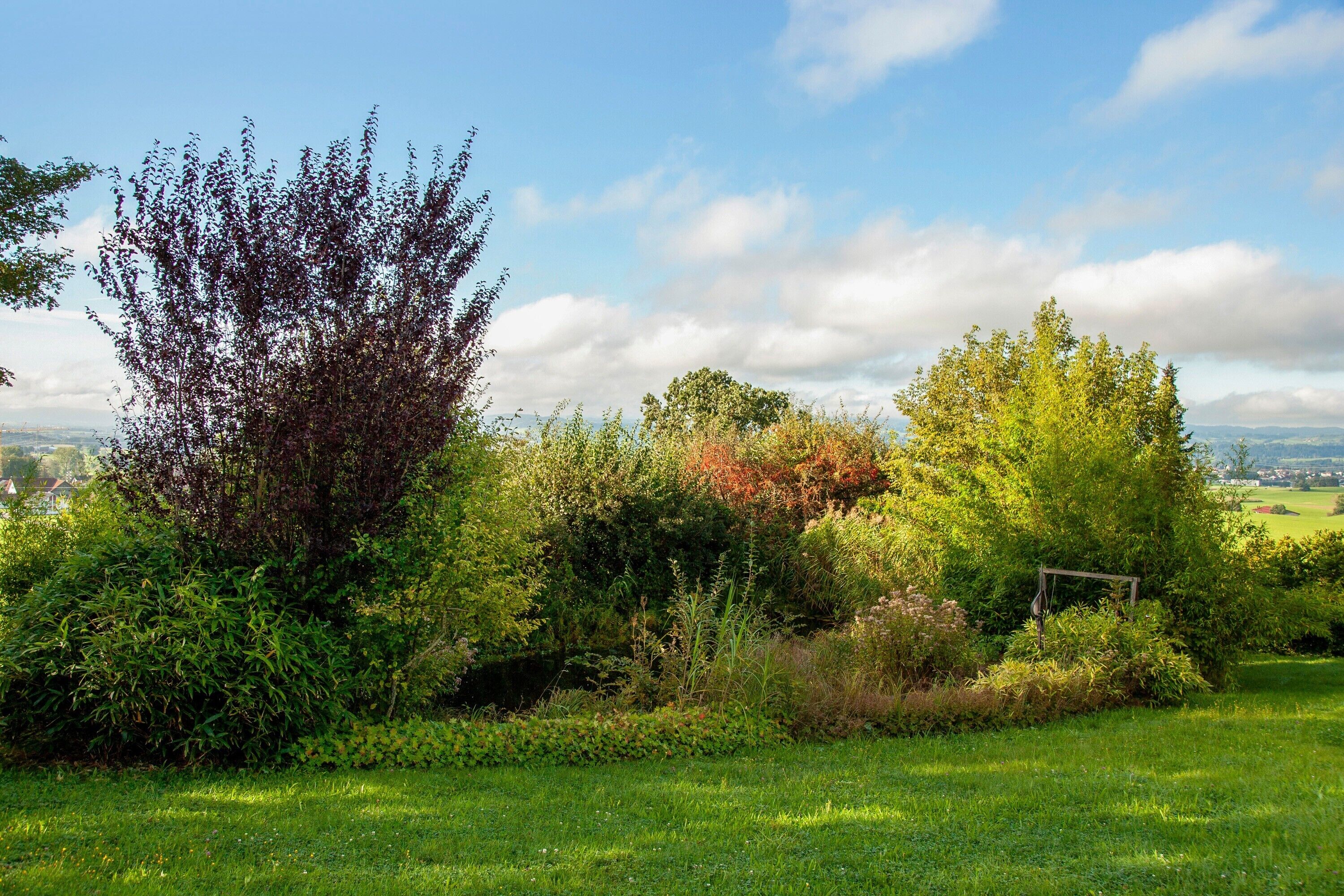 A lush green landscape with various trees and shrubs, a grassy area, and a clear sky.