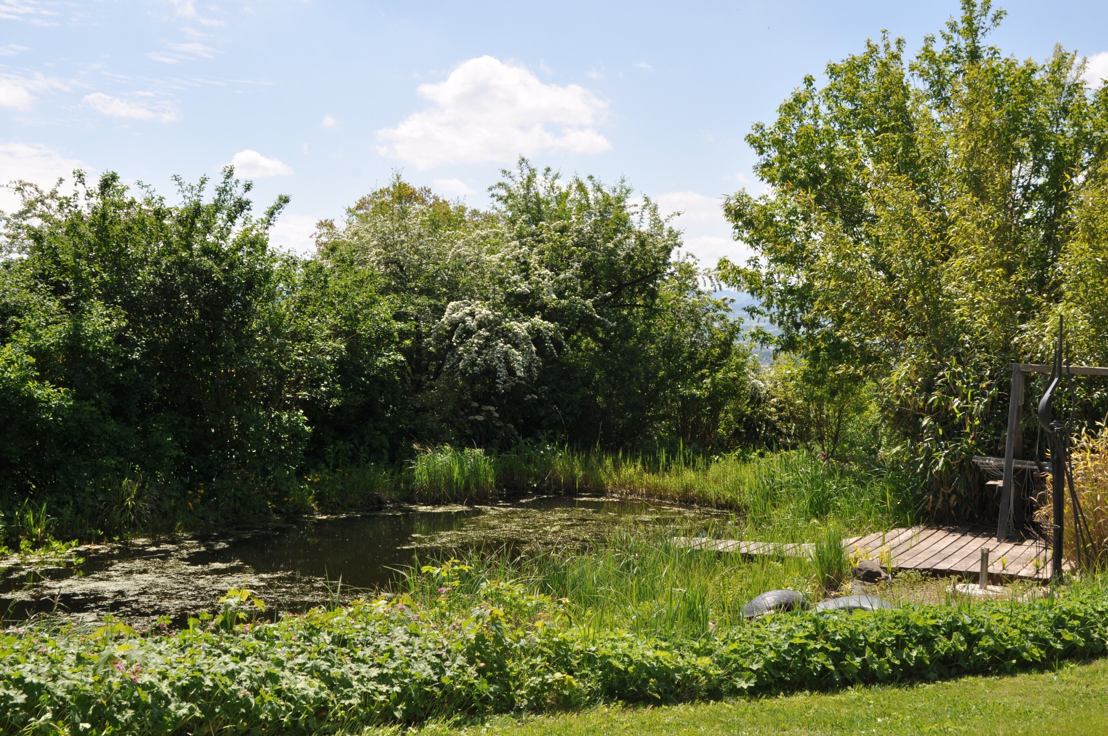 Parco della struttura