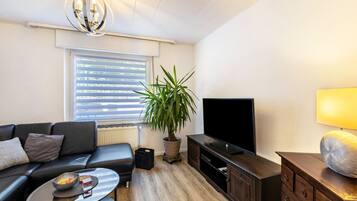 Fernseher, DVD-Player, Stereoanlage